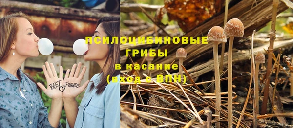 тгк Балахна