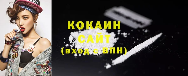 прущие грибы Балабаново