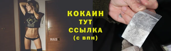прущие грибы Балабаново
