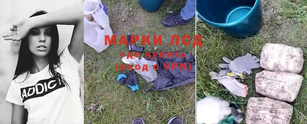 прущие грибы Балабаново
