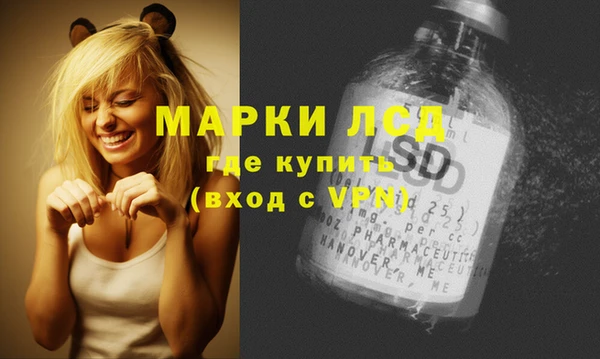 прущие грибы Балабаново