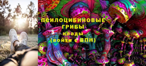 прущие грибы Балабаново