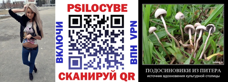 Галлюциногенные грибы мухоморы  Белёв 